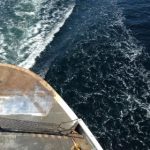 97直播在线观看高清流畅不卡顿的官方平台 4uup0cmy