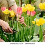 98开奖直播现场全程高清实况在线观看 576gm