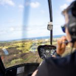 盈丰国际的成功案例:如何实现财富增值与风险管理 79jr3cx