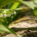 991991开奖资料最新开奖信息查询与历史数据分析 jz12r6