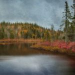 盛世平台官网最新动态盘点:安全合规与极致用户体验并驾齐驱 k3ed6jg6