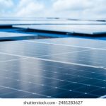 99477开奖结果查询与最新开奖号码公布 q7fninff