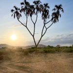 9769开奖最快现场全程高清直播中奖实况 tr1or