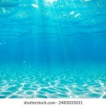 9911黄大仙开奖结果最新揭晓,精准预测今晚中奖号码 uayb8f