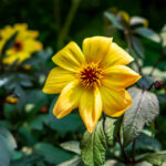 NBA视频直播赛程全览:每日焦点对决与精彩赛事不容错过 8ouk28r