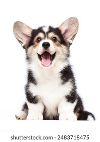 NBA赛程表直播指南:实时追踪每日精彩对决 NBA赛程表直播指南:实时追踪每日精彩对决