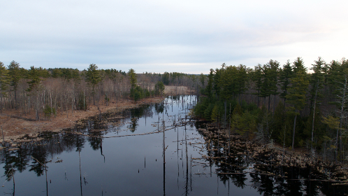 NBA视频直播：热火vs雄鹿巅峰对决，谁将问鼎东部之巅？